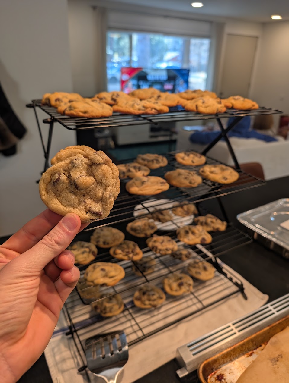 Salted Dark Chocolate Chip Cookies